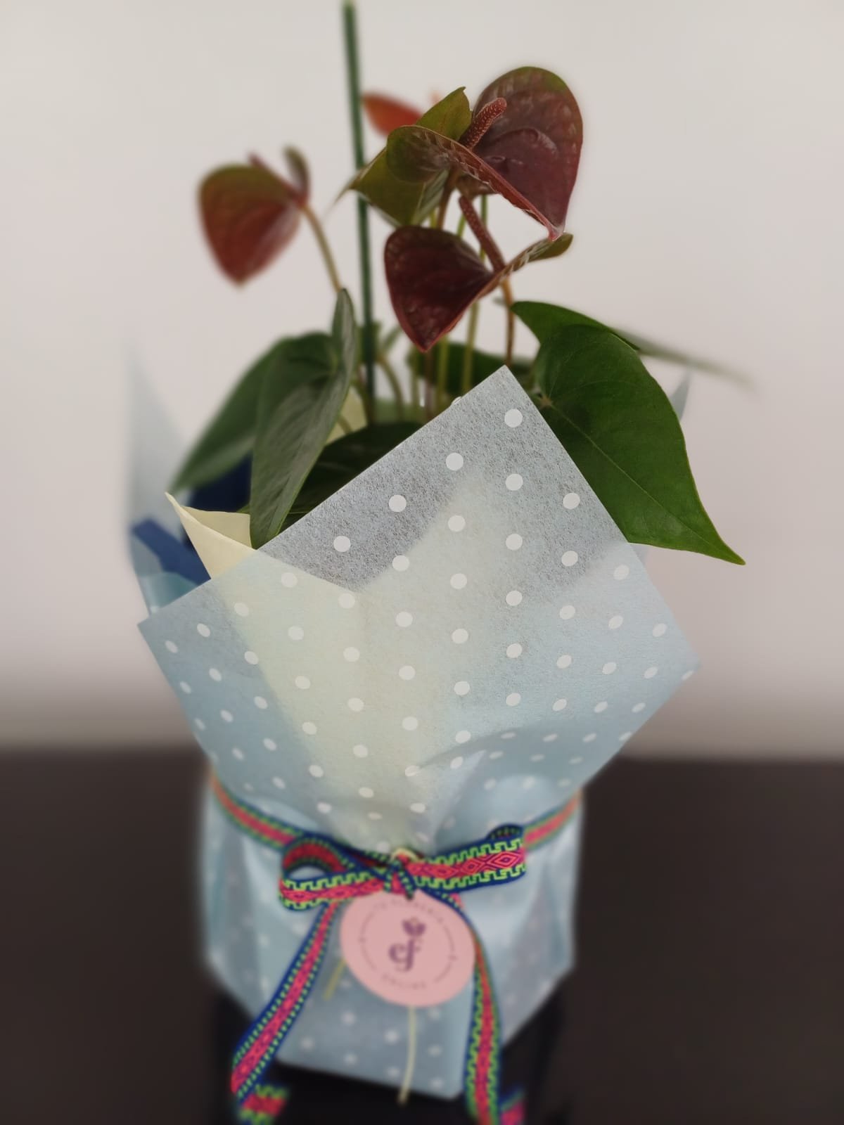 WhatsApp Image 2025-05-05 at 10.50.18 AM (1)