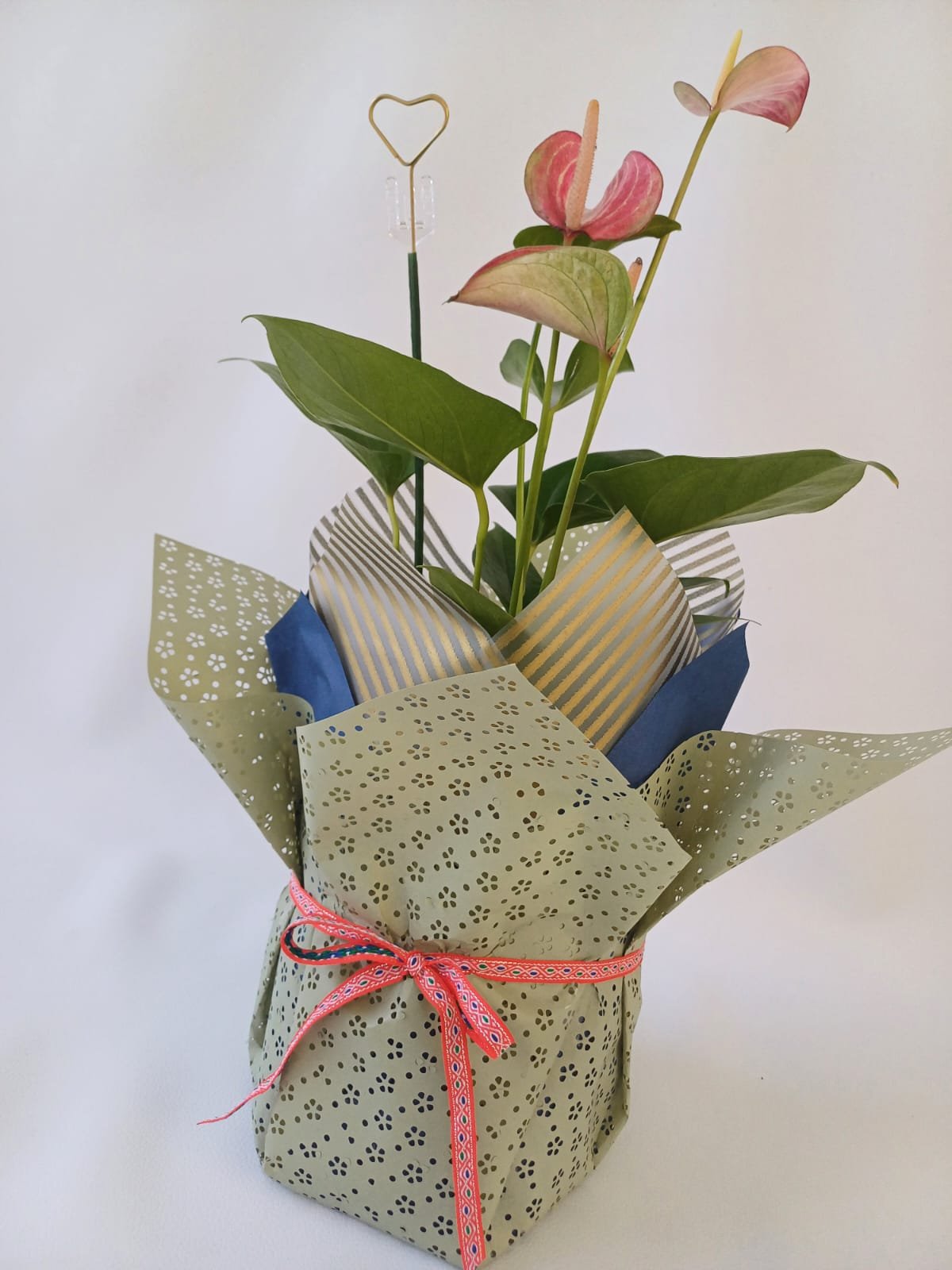 WhatsApp Image 2025-05-05 at 10.50.18 AM (2)