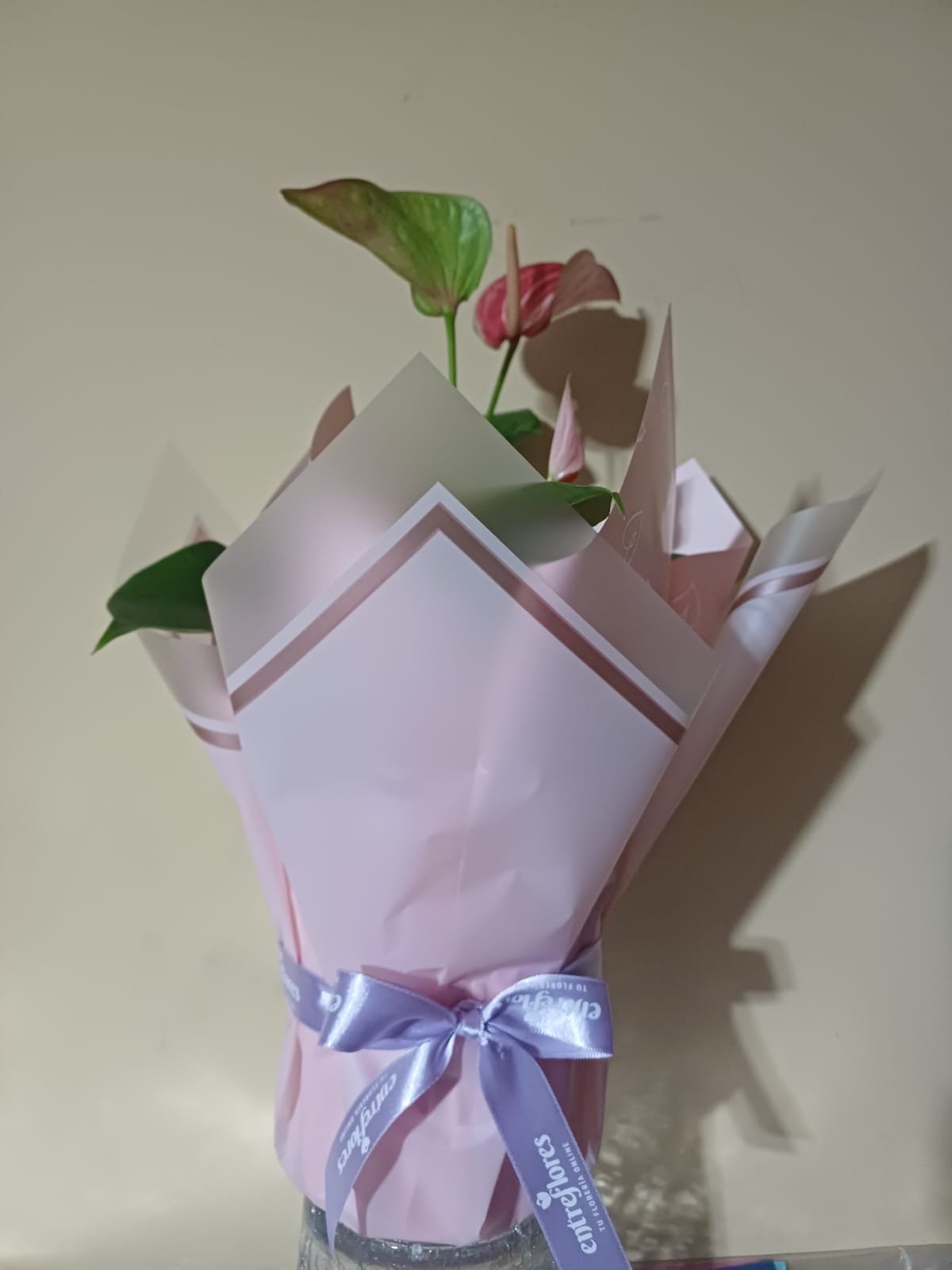 WhatsApp Image 2025-05-05 at 10.50.18 AM